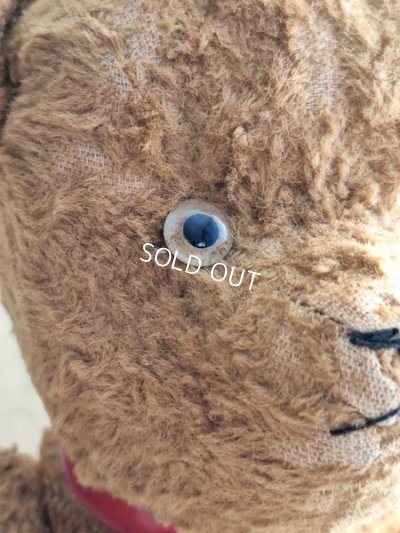 画像4: JPMテディベア