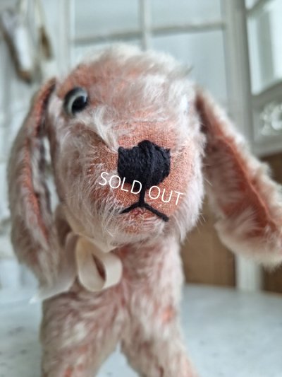 画像3: フランス垂れ耳ピンクドッグ