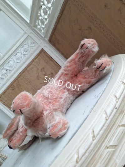 画像9: フランス垂れ耳ピンクドッグ