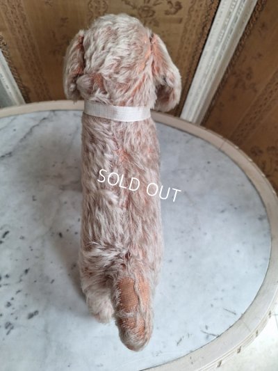 画像10: フランス垂れ耳ピンクドッグ