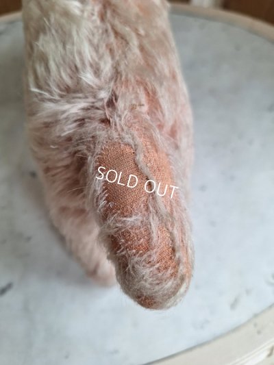 画像15: フランス垂れ耳ピンクドッグ