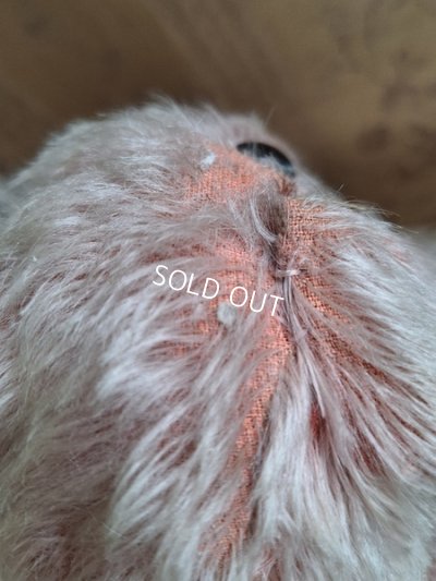 画像16: フランス垂れ耳ピンクドッグ