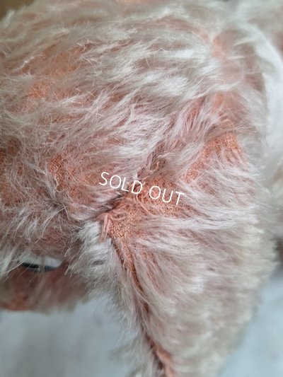 画像17: フランス垂れ耳ピンクドッグ