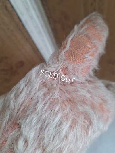 画像18: フランス垂れ耳ピンクドッグ