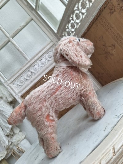 画像11: フランス垂れ耳ピンクドッグ