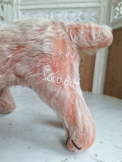 画像14: フランス垂れ耳ピンクドッグ