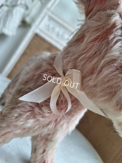 画像6: フランス垂れ耳ピンクドッグ