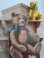 teddybearbook