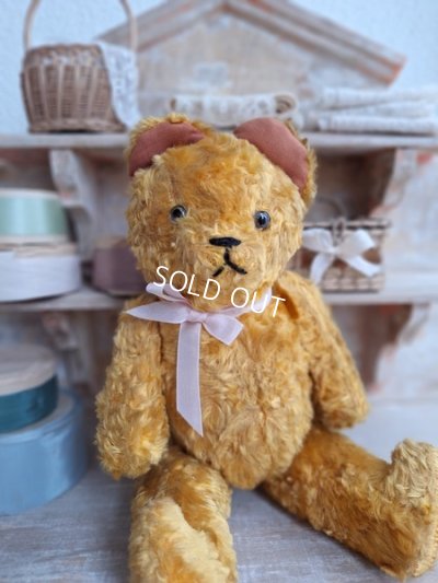 jpmteddybear