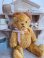 jpmteddybear