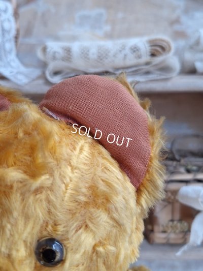 画像5: JPMフレンチテディベア