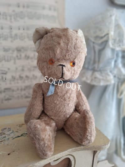 jpmteddybear