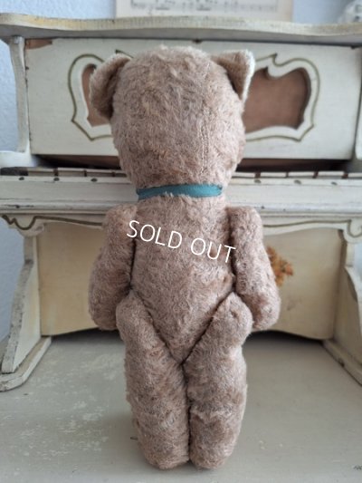 画像14: JPMフレンチテディベア