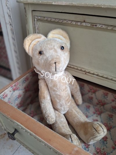 画像1: 細長フレンチテディベア