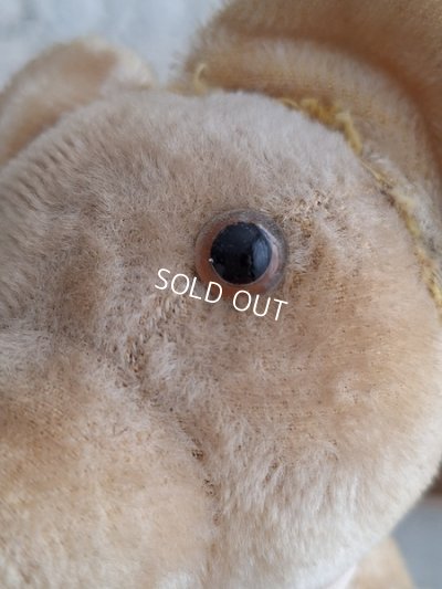 画像3: 細長フレンチテディベア