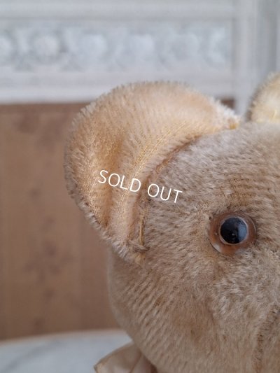 画像4: 細長フレンチテディベア