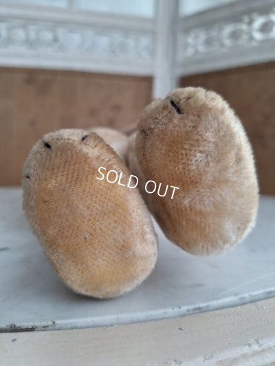 画像6: 細長フレンチテディベア