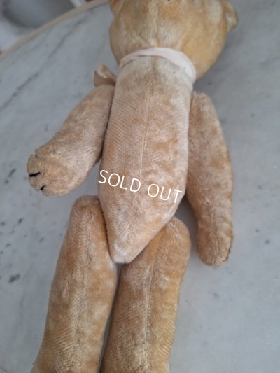 画像8: 細長フレンチテディベア