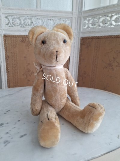 画像9: 細長フレンチテディベア