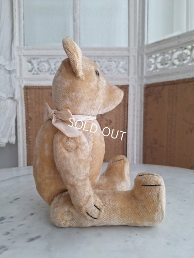 画像10: 細長フレンチテディベア