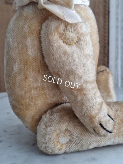 画像11: 細長フレンチテディベア