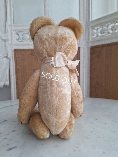 画像12: 細長フレンチテディベア