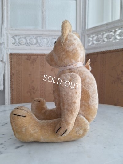 画像13: 細長フレンチテディベア