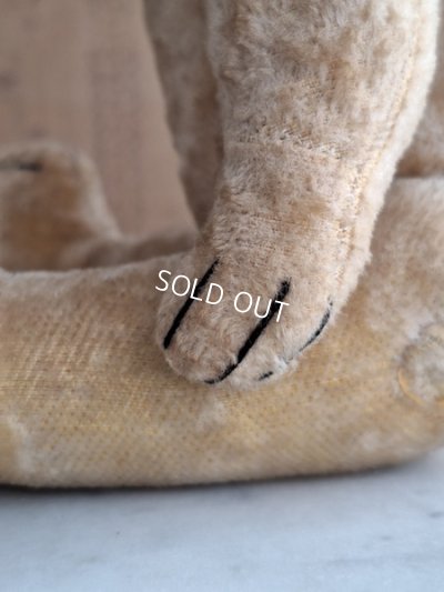 画像14: 細長フレンチテディベア