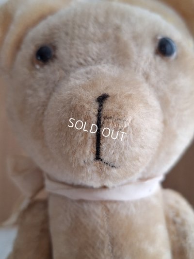 画像5: 細長フレンチテディベア