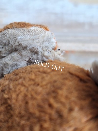 画像6: JPMテディベア