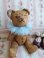 jpmteddybear