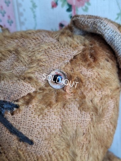 画像9: JPMフレンチテディベア