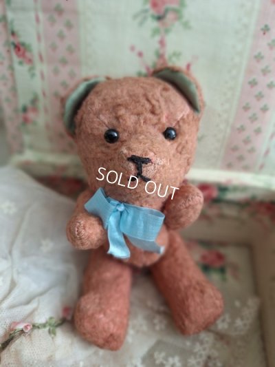 jpmteddybear