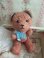 jpmteddybear