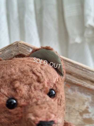 画像6: JPM小さなピンクテディベア