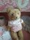 teddybear