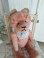 jpmteddybear