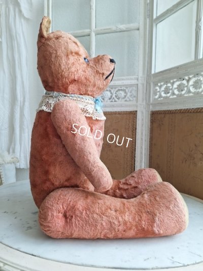 画像6: JPMピンクテディベア