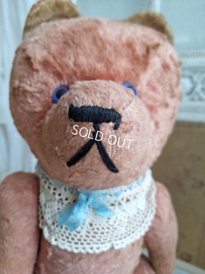 画像3: JPMピンクテディベア