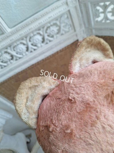 画像16: JPMピンクテディベア