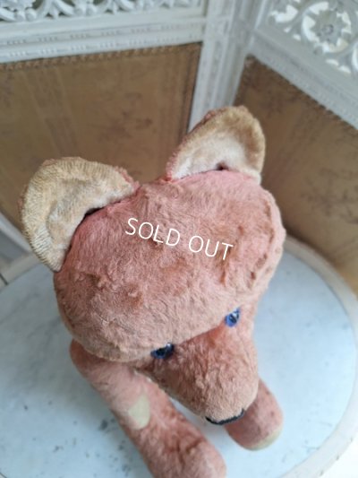 画像17: JPMピンクテディベア