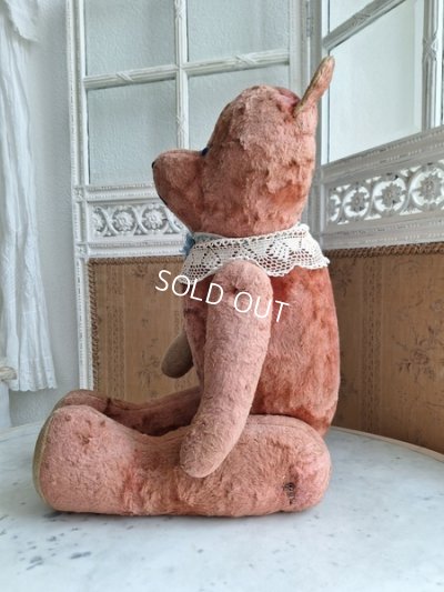 画像19: JPMピンクテディベア