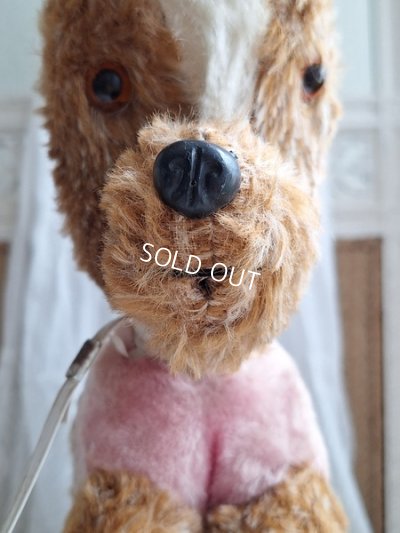 画像3: 車輪付きドッグ