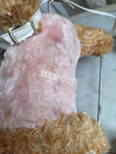 画像10: 車輪付きドッグ