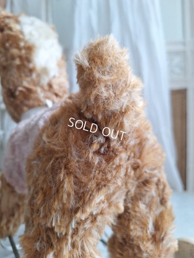 画像6: 車輪付きドッグ