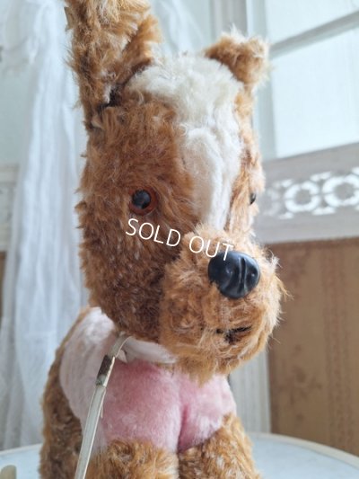 画像7: 車輪付きドッグ