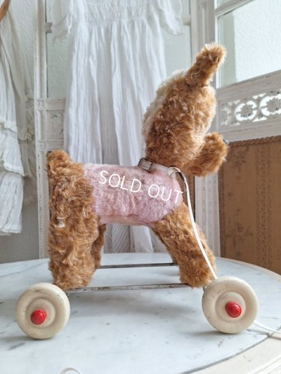 画像17: 車輪付きドッグ