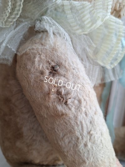 画像15: JPMテディベア