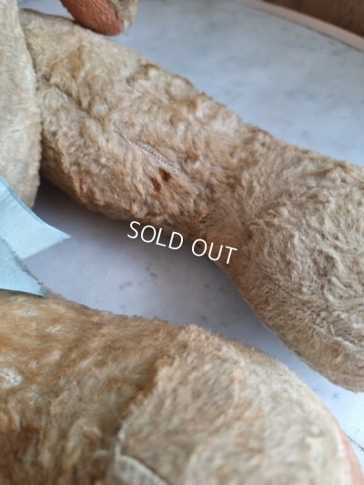 画像17: JPMテディベア