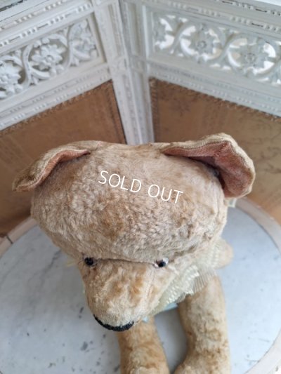 画像9: JPMテディベア